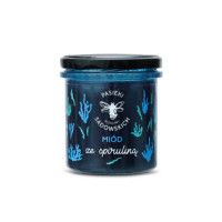 Miód ze spiruliną Pasieki Sadowskich 430g