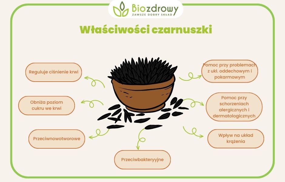 właściwości czarnuszki - infografika