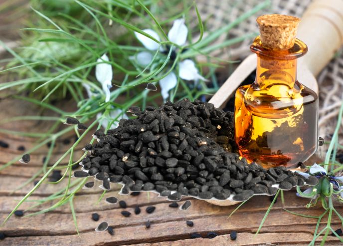 Czarnuszka (Nigella Sativa L.)