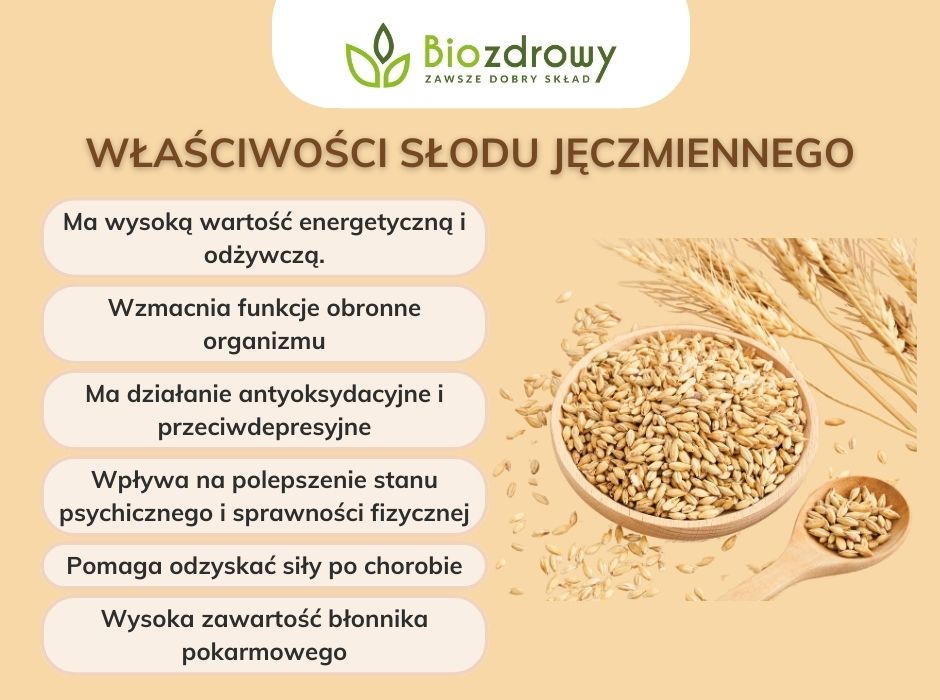 Właściwości słodu jęczmiennego - infografika