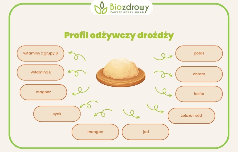 Profil odżywczy drożdży - infografika