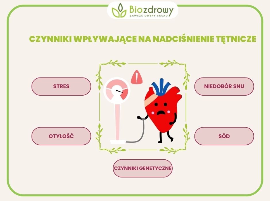 infografika czynniki wpływające na nadciśnienie tętnicze