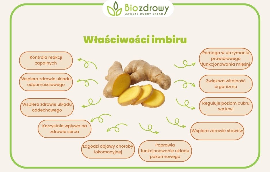 Właściwości imbiru - infografika