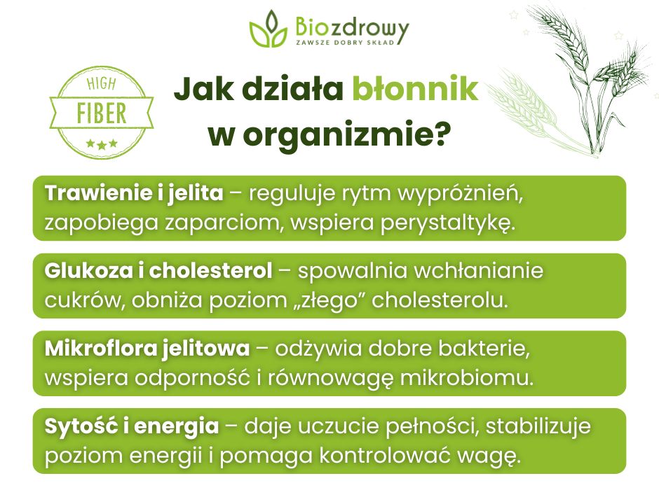Jak działa błonnik w organizmie? - infografika
