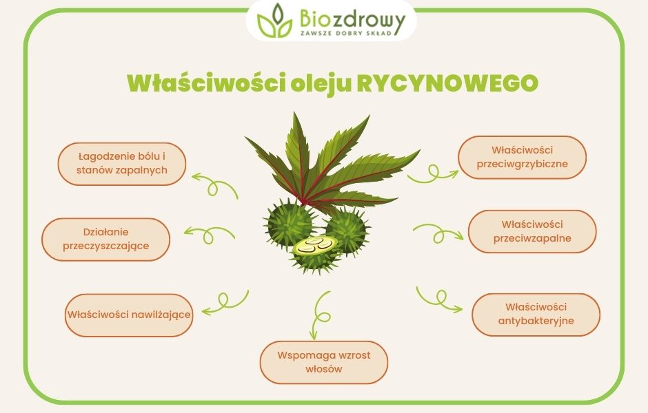 właściwości oleju rycynowego infografika