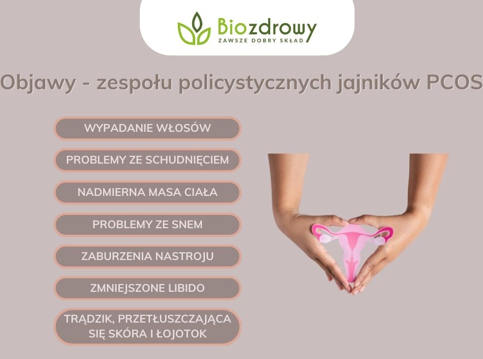Objawy - zespołu policystycznych jajników PCOS - infografika