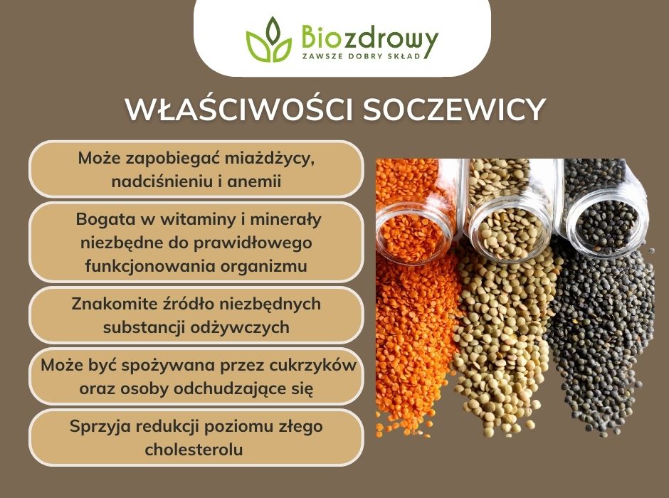 Właściwości soczewicy - infografika