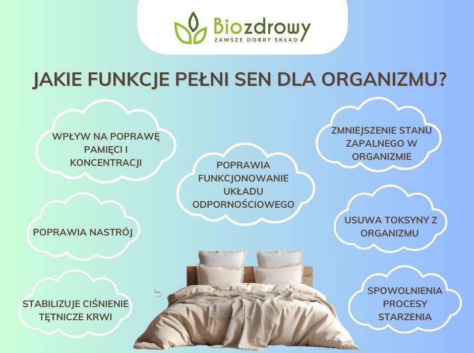Jakie funkcje pełni sen dla organizmu - infografika