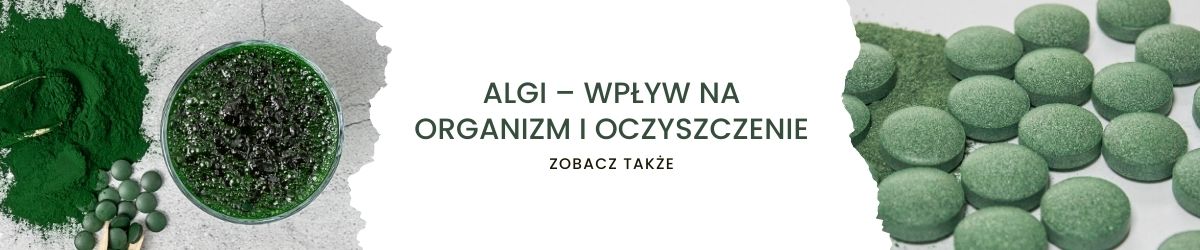Algi – wpływ na organizm i oczyszczenie - obrazek zobacz także