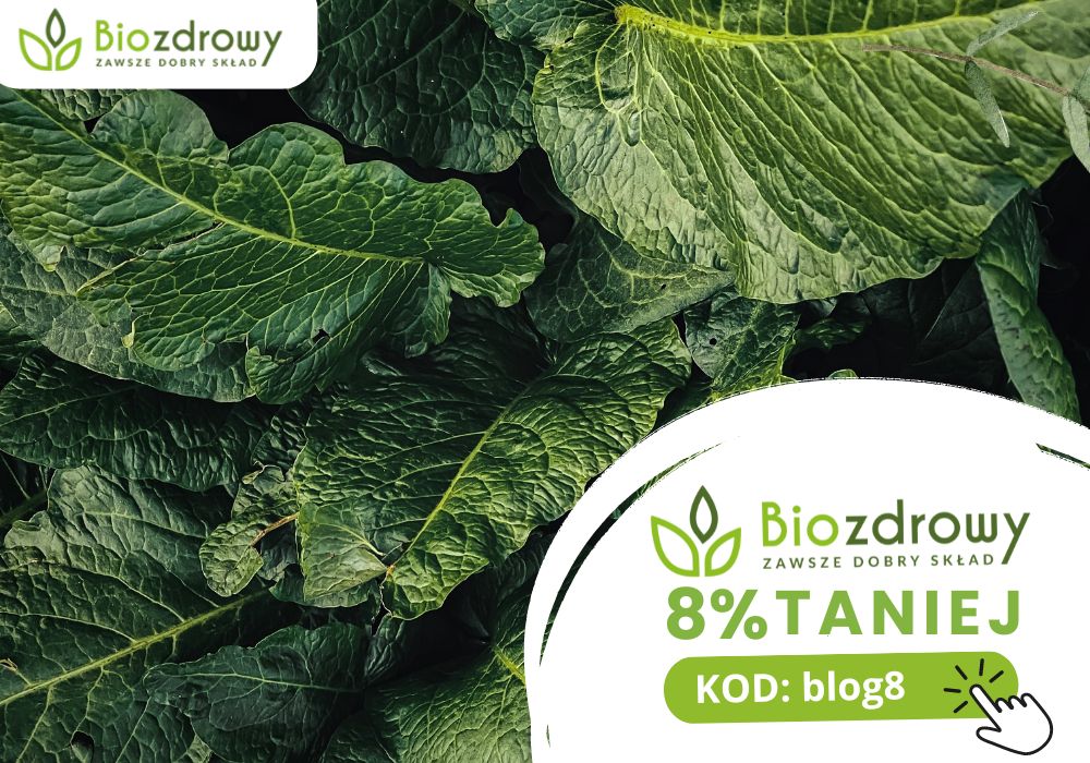 biozdrowy - kod rabatowy blog - owoce zielone ścieżka - baner