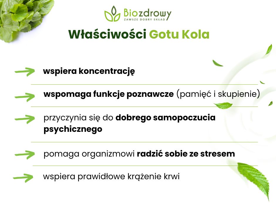 Właściwości Gotu Kola - infografika
