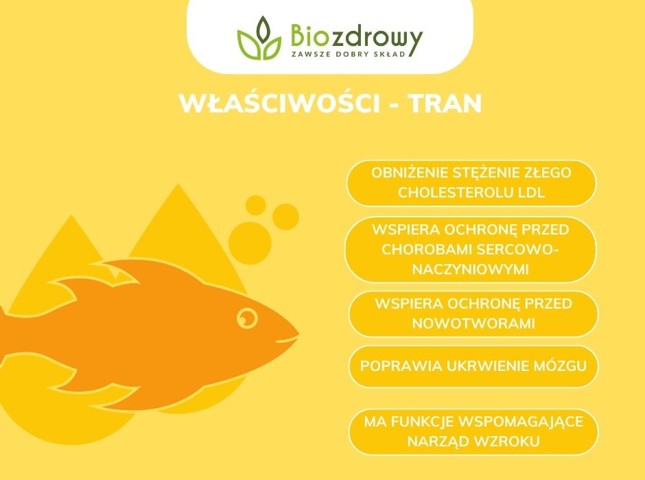 Właściowości tranu infografika