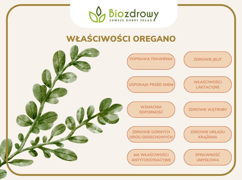 Olwia z oliwek właściwości - infografika