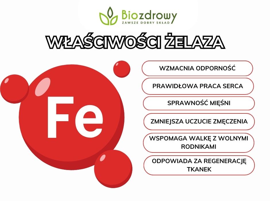 Właściwości Żelaza - infografika