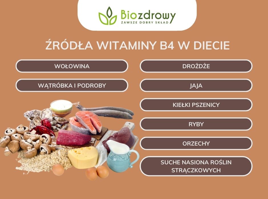Źródła witaminy B4 w diecie - zdjęcie