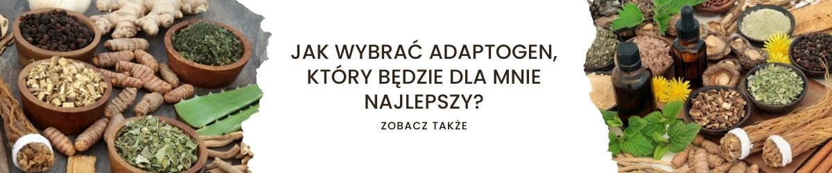 Jak wybrać adaptogen, który będzie dla mnie najlepszy - obrazek zobacz także