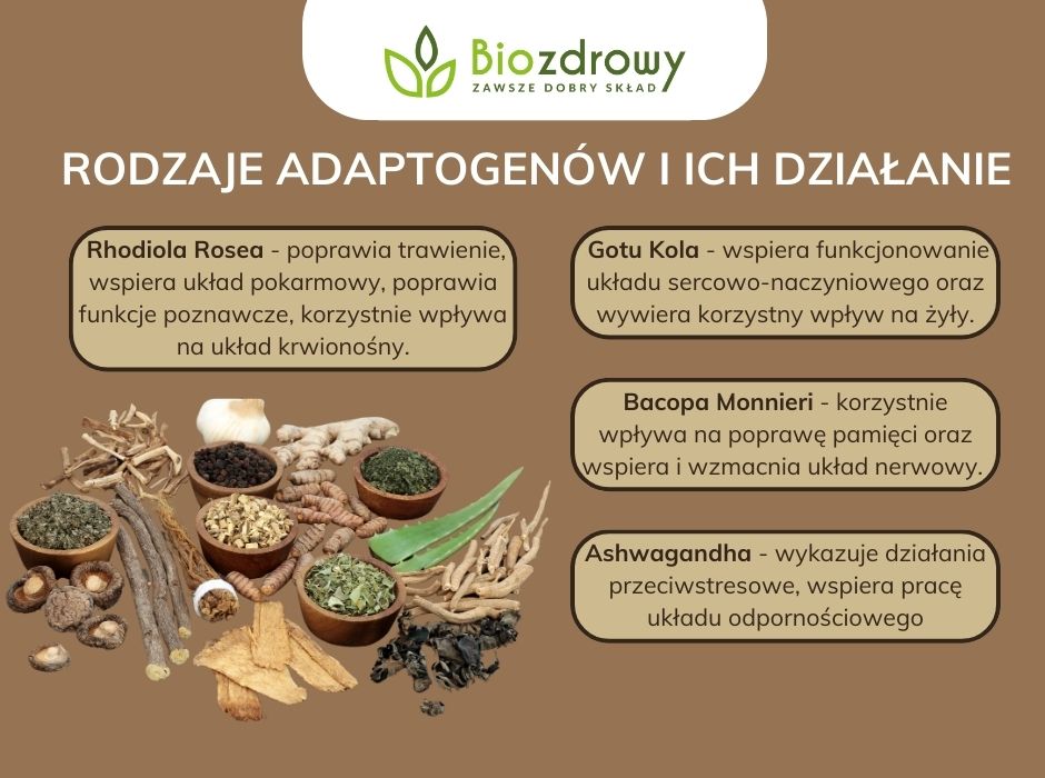 Rodzaje adaptogenów i ich działanie - infografika