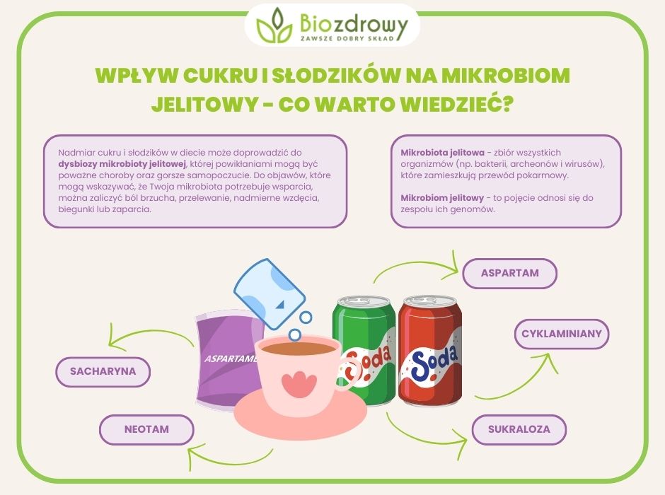 wpływ cukru i słodzików na mikrobiom jelitowy infografika