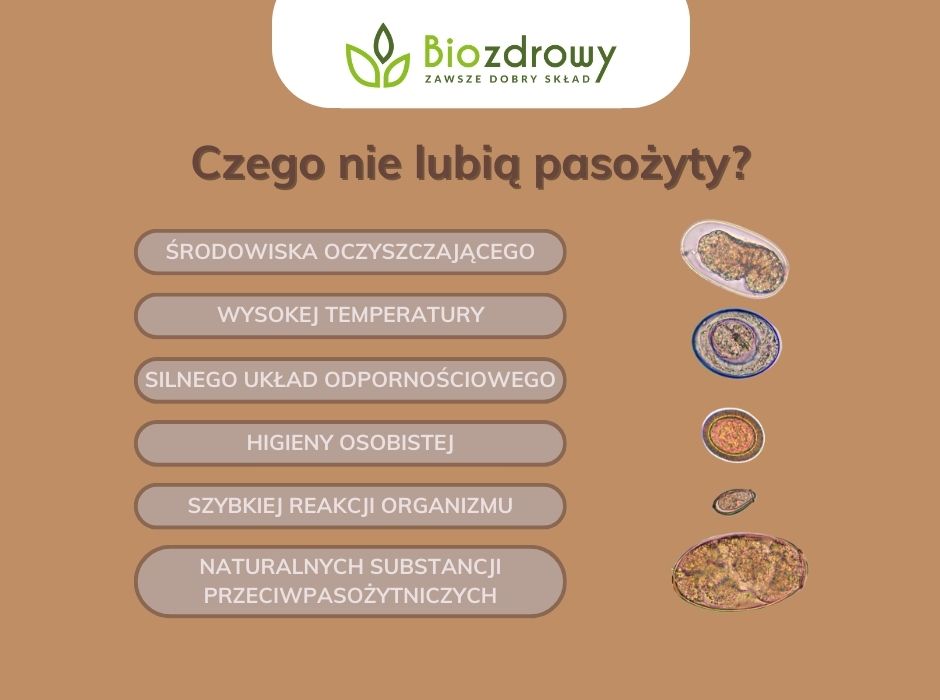 Czego nie lubią pasożyty - infografika