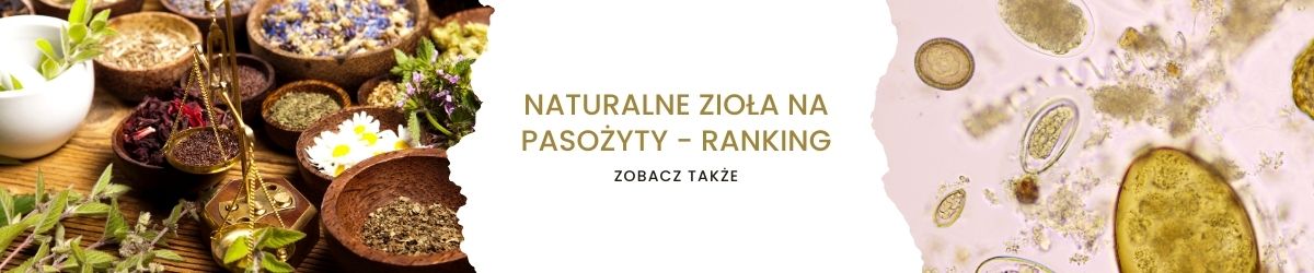 Naturalne zioła na pasożyty - ranking -obrazek zobacz także