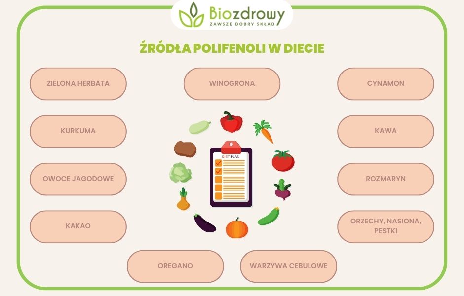 infografika źródła polifenoli w diecie