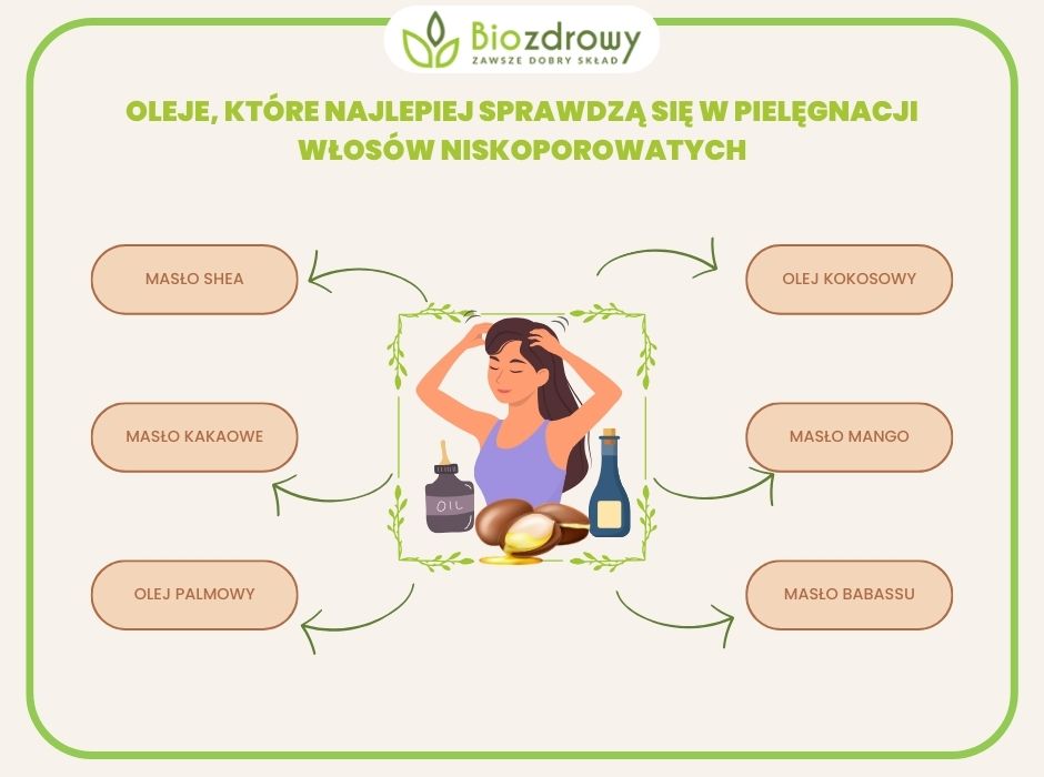 infografika Włosy niskoporowate - oleje Włosy niskoporowate - oleje infografika