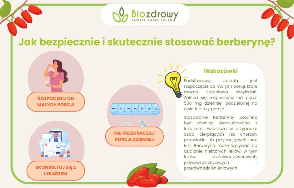 Jak bezpiecznie i skutecznie stosować berberynę infografika