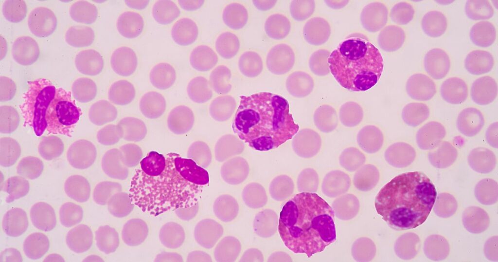 Terapia mitochondrialna - na czym polega i co jeść