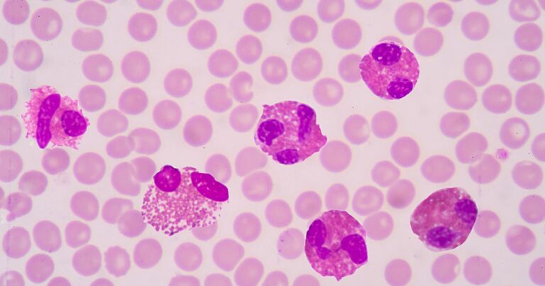 Terapia mitochondrialna - na czym polega i co jeść