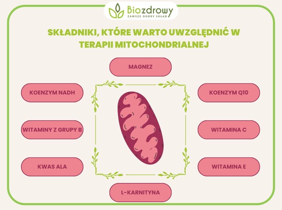 terapia mitochondrialna a suplementy infografika