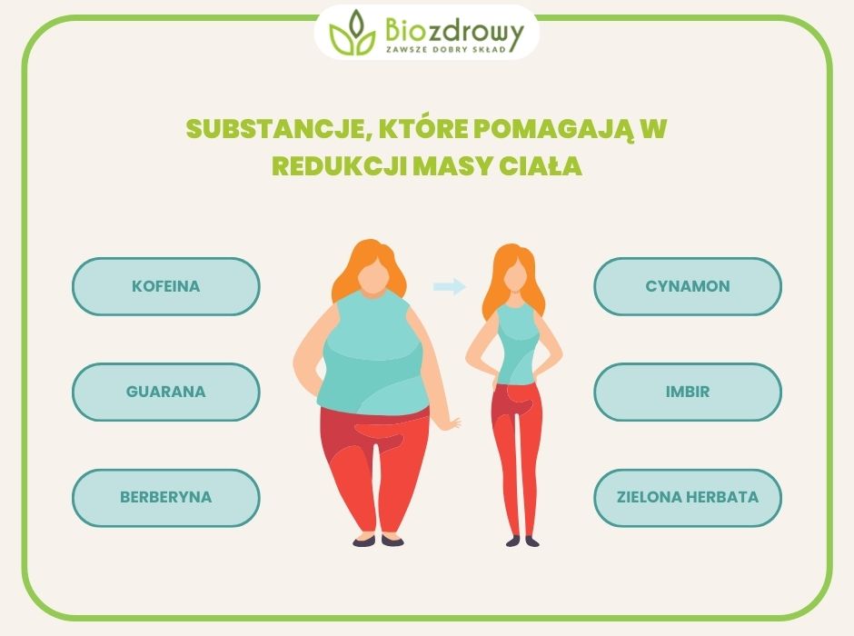 infografika substancje które pomagają w redukcji masy ciała