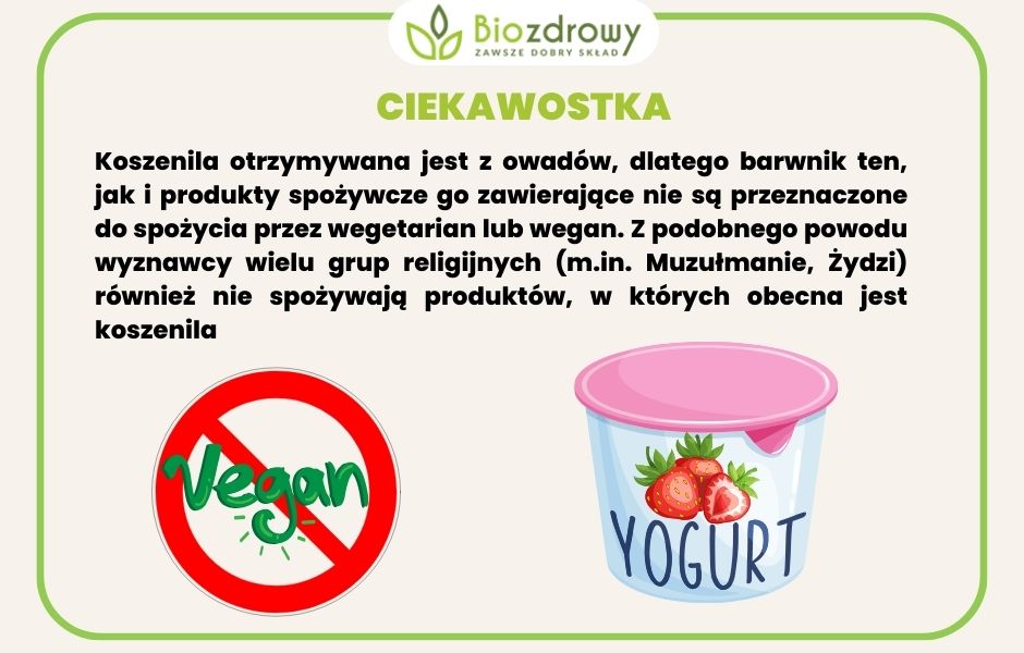 ciekawostki o koszenili - infografika
