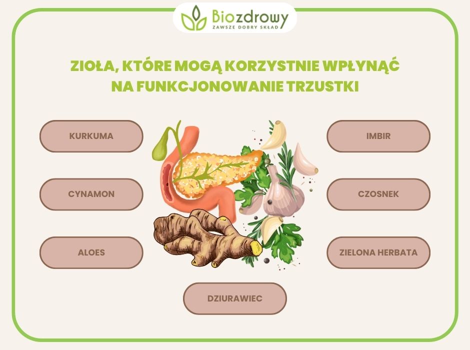 infografika zioła, które mogą korzystnie wpłynąć na funkcjonowanie trzustki