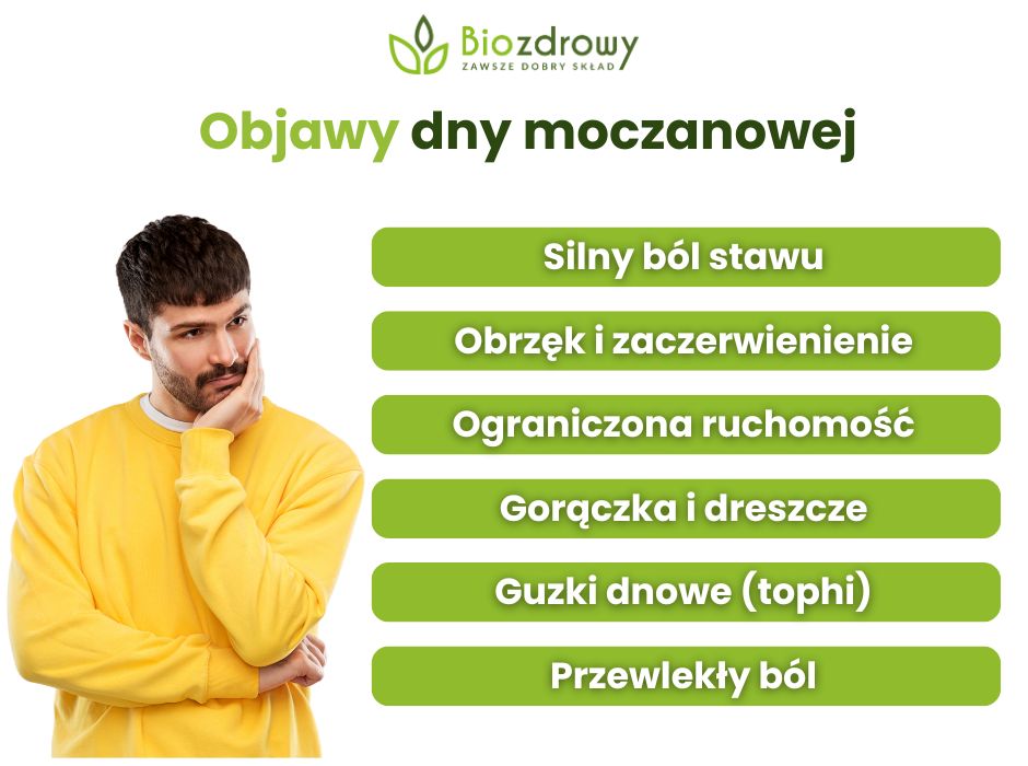 Objawy dny moczanowej - infografika