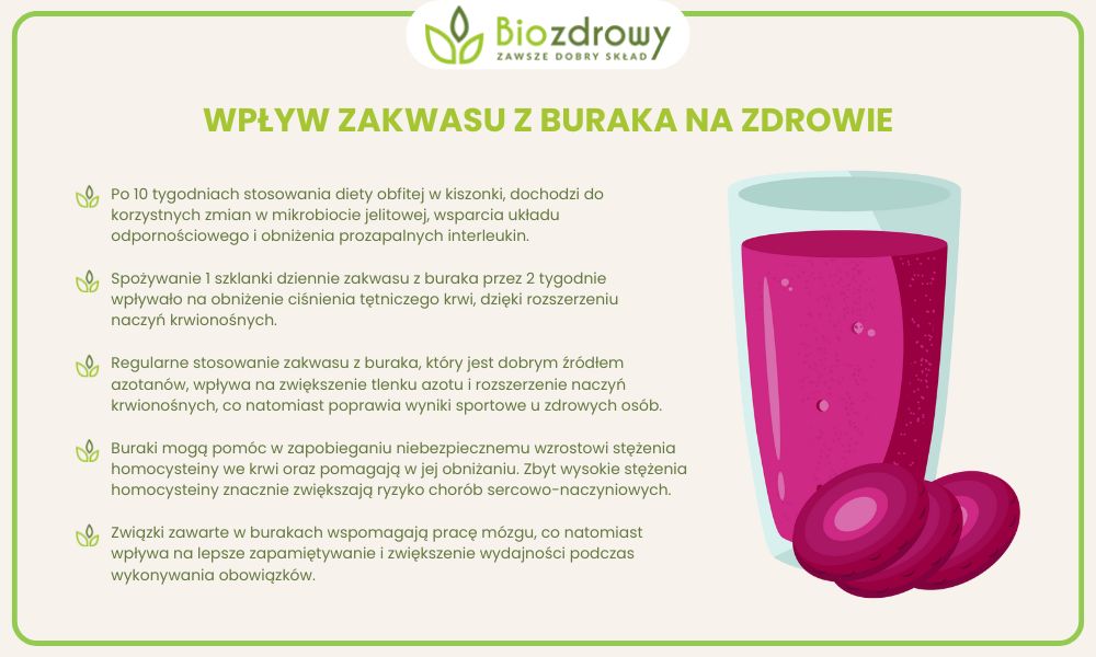 zakwas z buraka właściwości infografika