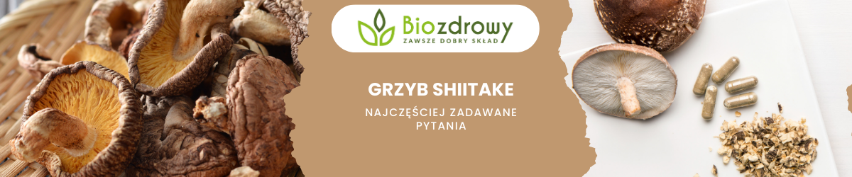 Grzyb shiitake FAQ - zdjęcie poglądowe