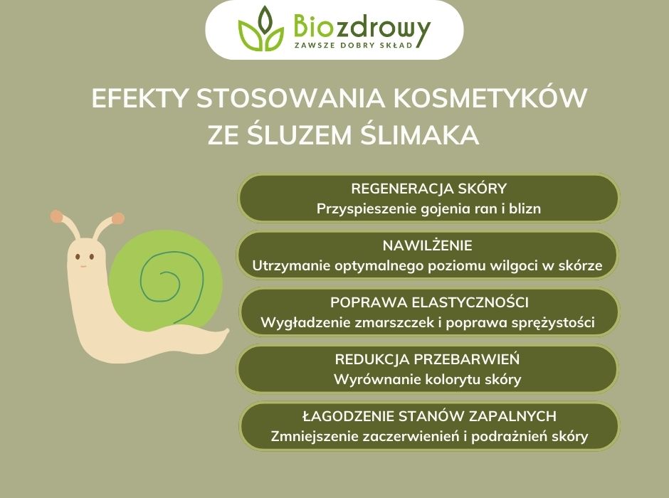 Efekty stosowania kosmetyków ze śluzem ślimaka - infografika