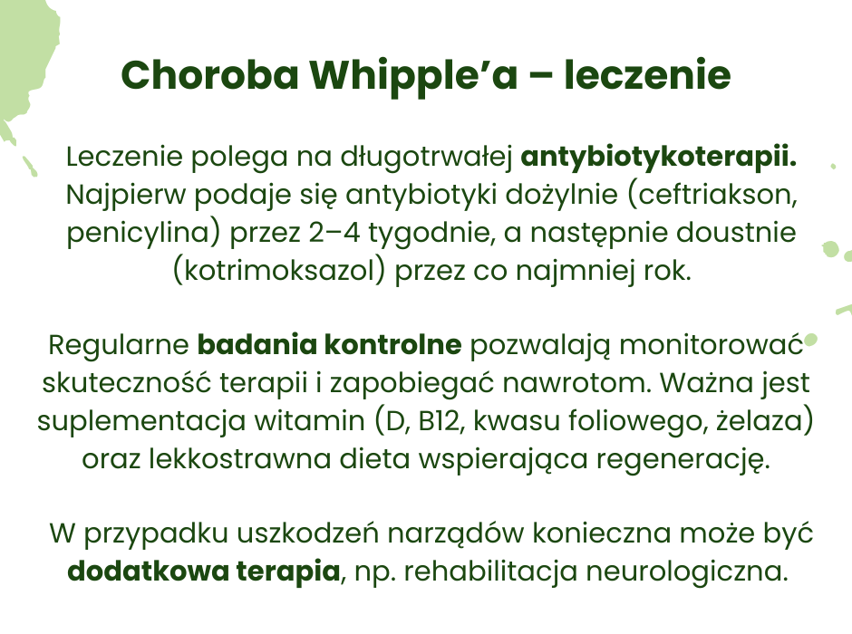 Leczenie choroby Whipple'a - infografika