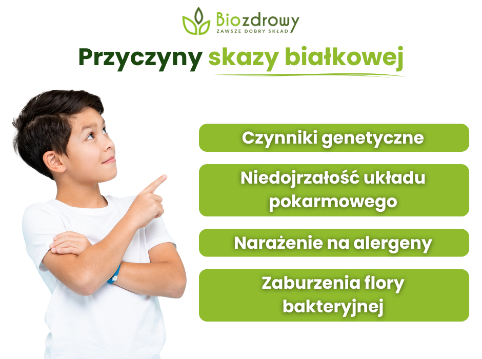 Przyczyny skazy białkowej - infografika