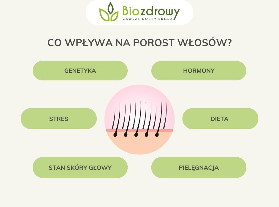 Co wpływa na porost włosów - infografika