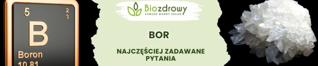 Bor FAQ - obrazek poglądowy