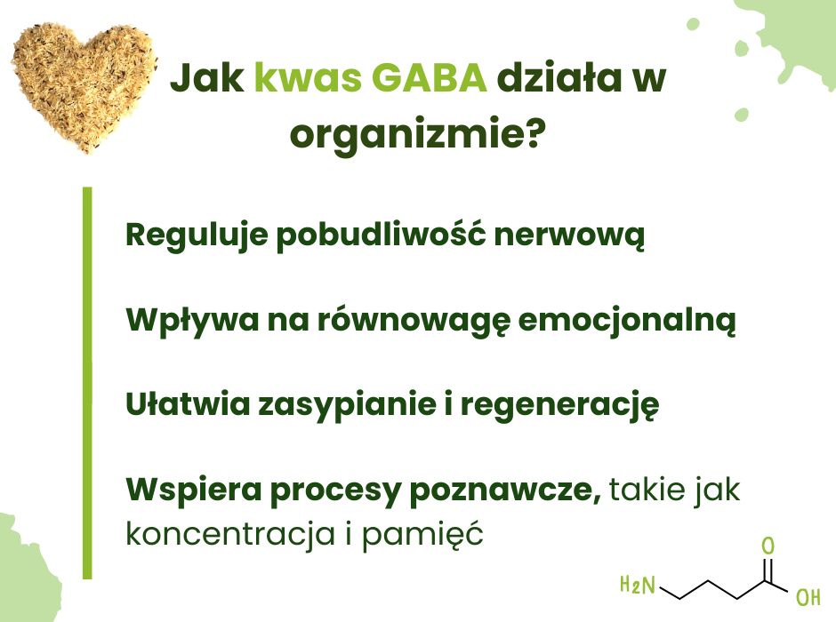 Jak kwas gaba działa w organizmie? - infografika
