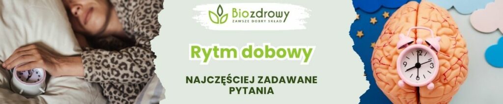 Rytm dobowy FAQ - obrazek poglądowy