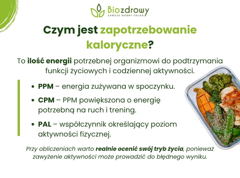 Czym jest zapotrzebowanie kaloryczne - infografika