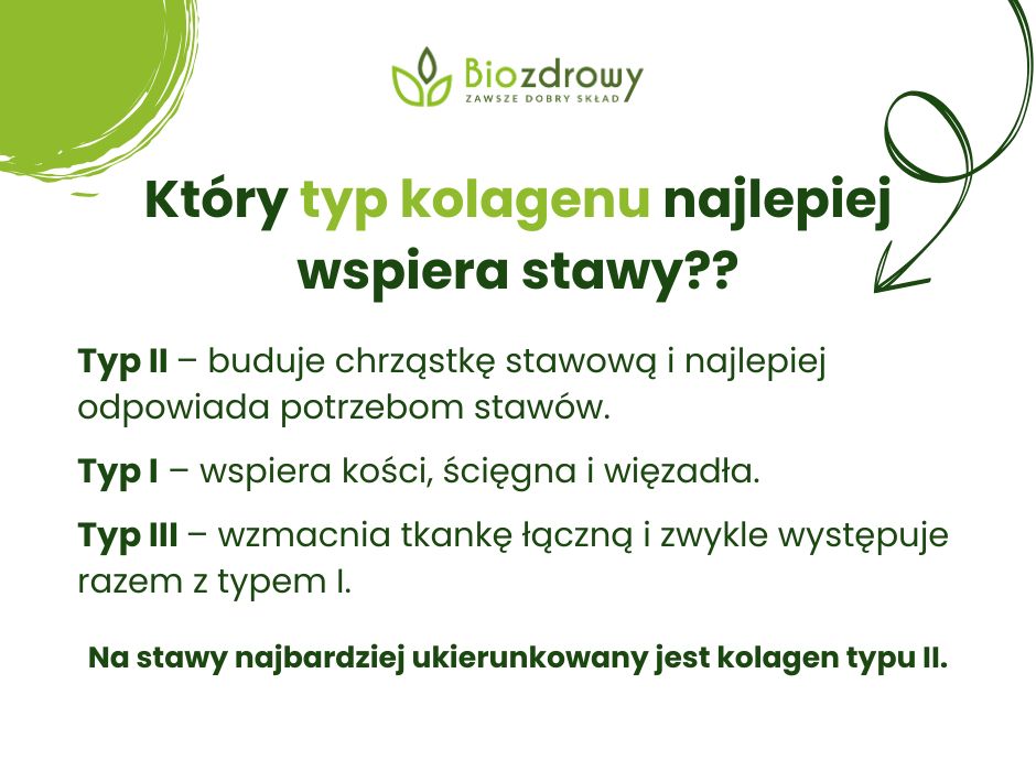 Jaki typ kolagenu na stawy – infografika