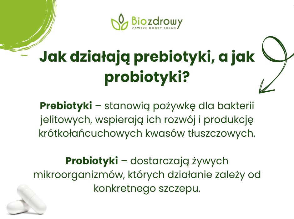 Jak działają prebiotyki, a jak probiotyki? - infografika